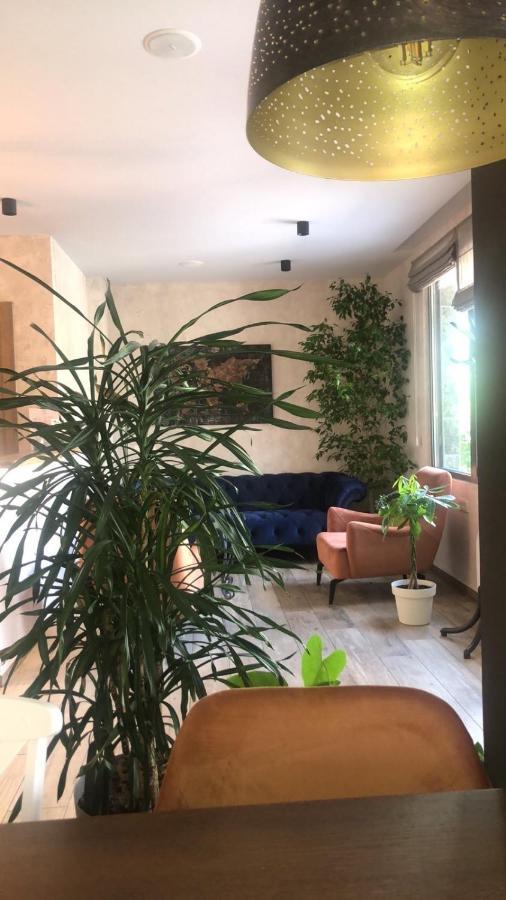Hotel Vladimir ブドヴァ エクステリア 写真